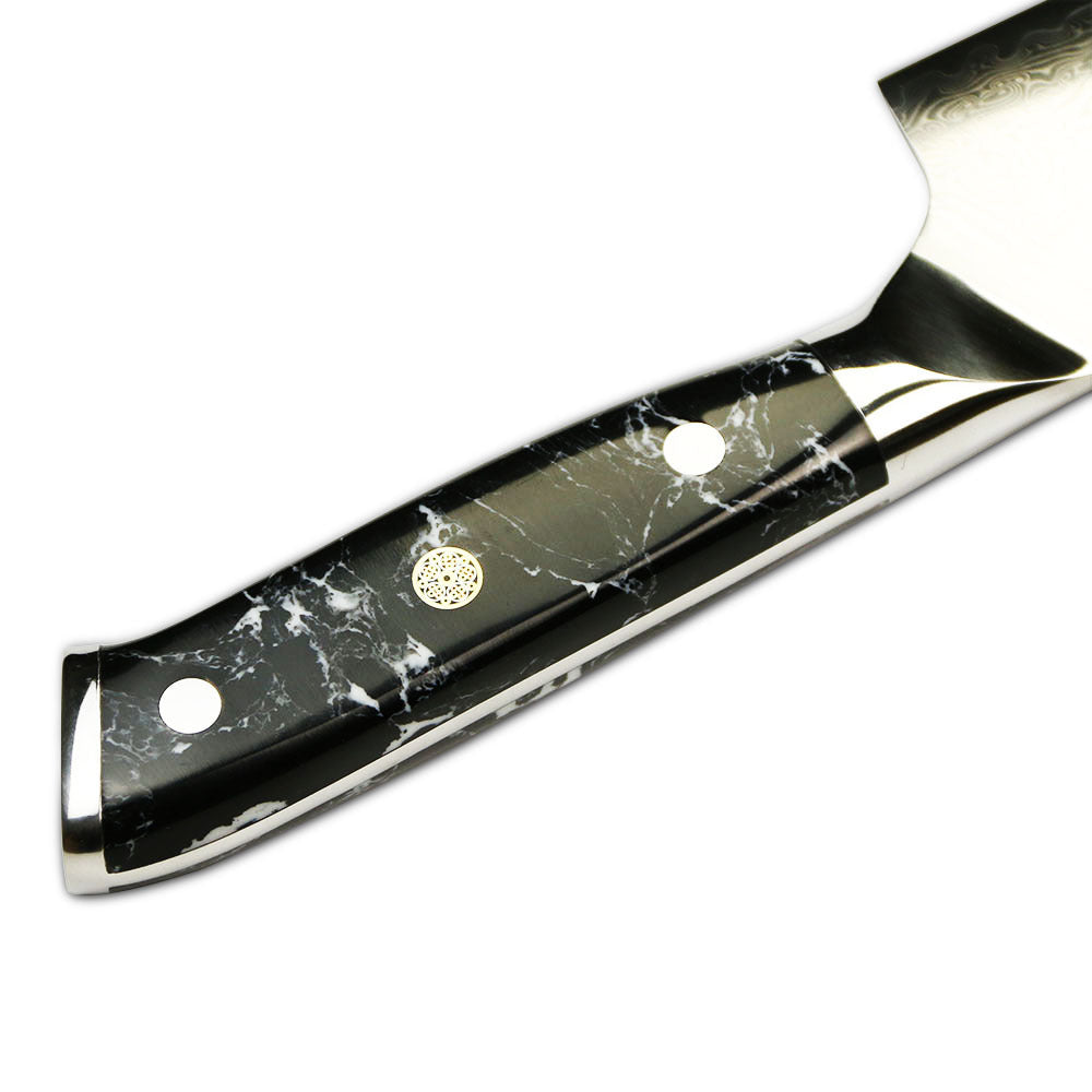 AUS-10 Damascus Steel Classic Chef's Knife
